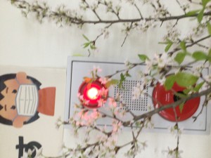 IMG_8047