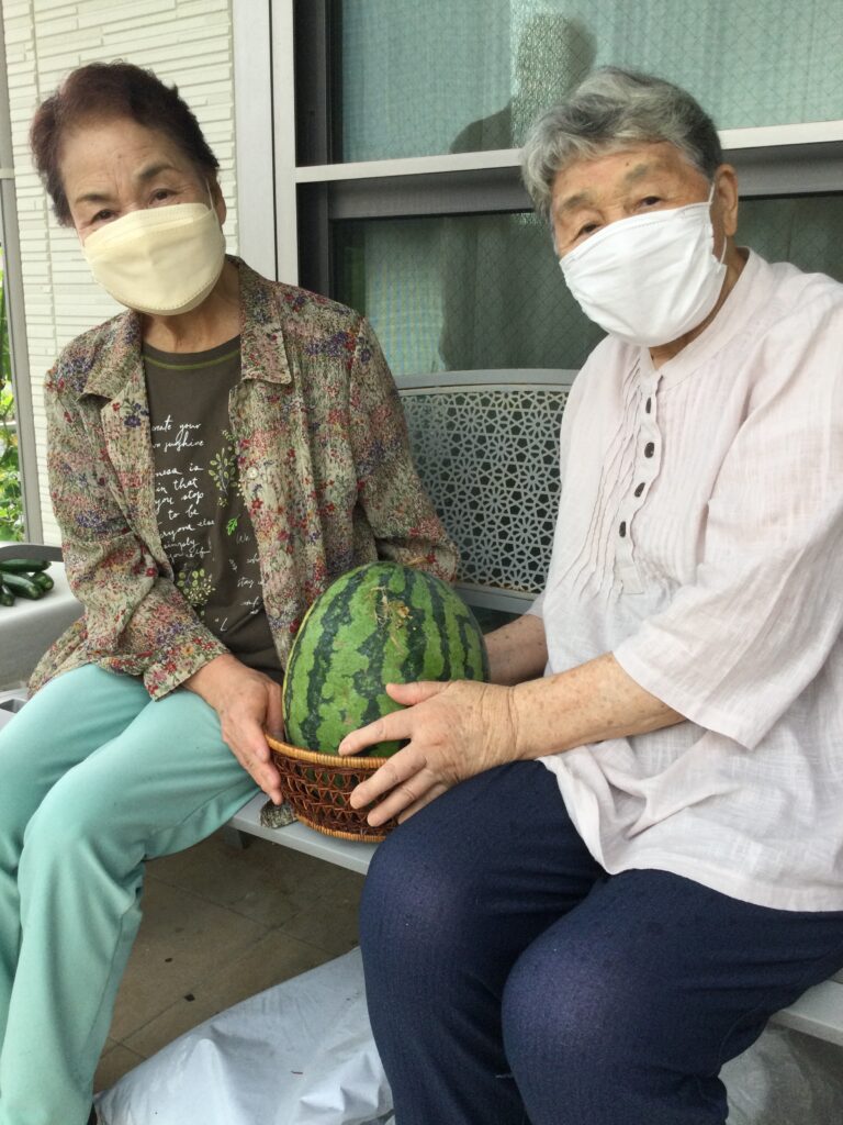 結い菜園　スイカが採れました🍉